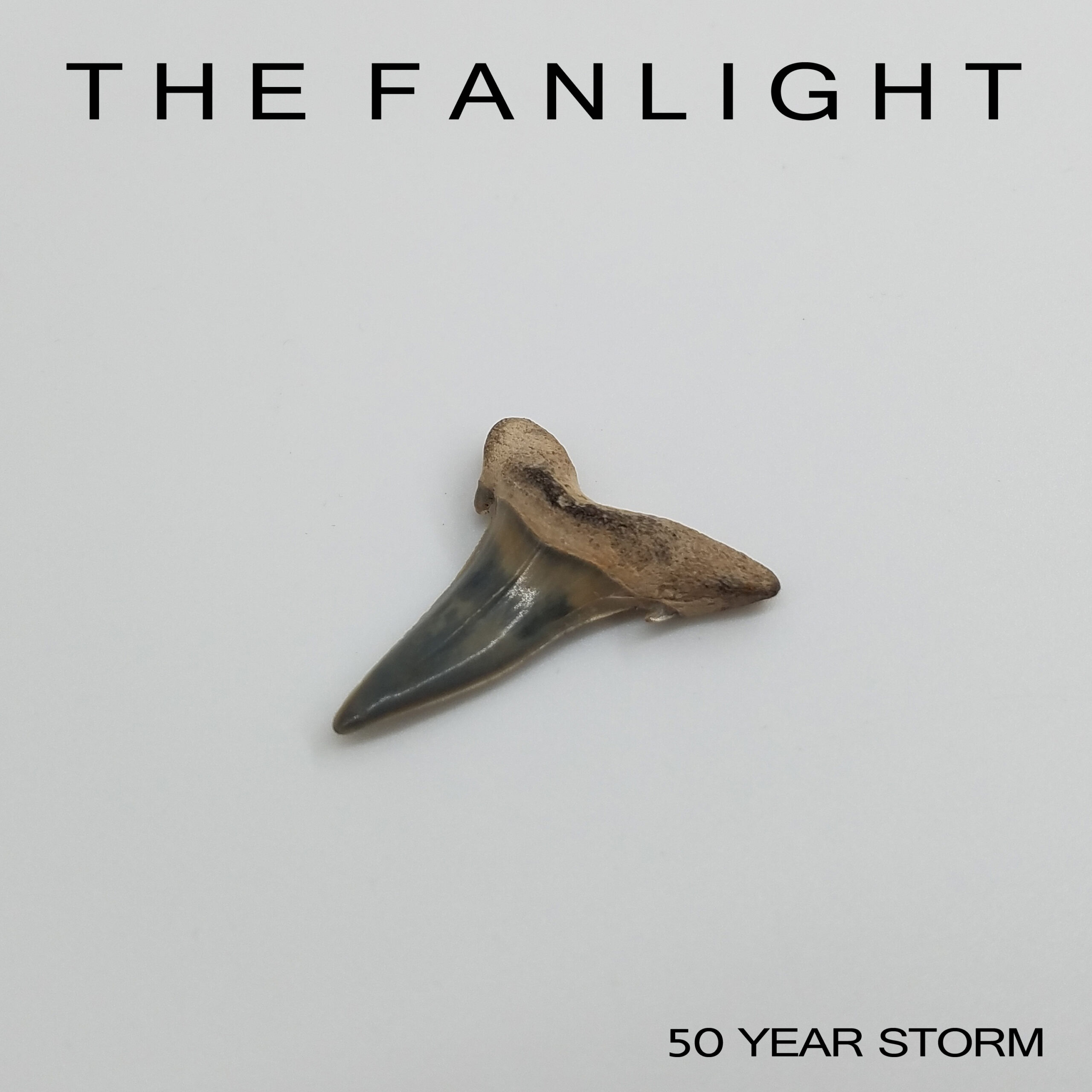 Single artwork for The Fanlight by 50 Year Storm